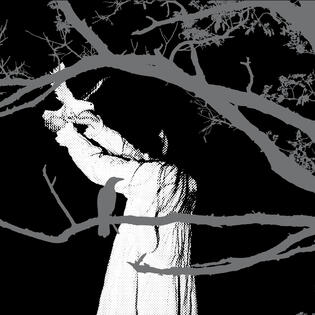 100 days of Artifacts